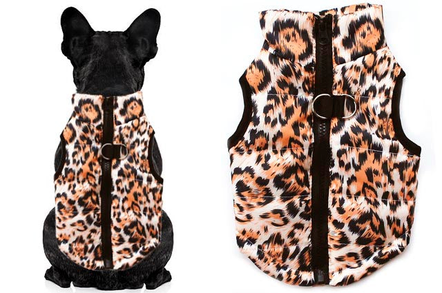 Ρούχο σκύλου μπουφανάκι Chic Leopard
