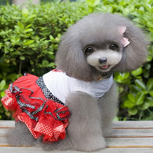 Ρούχο σκύλου φόρεμα LOVE HEART