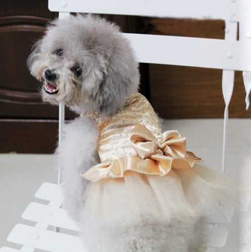 Ρούχο σκύλου φόρεμα LOVE SATIN BEIGE