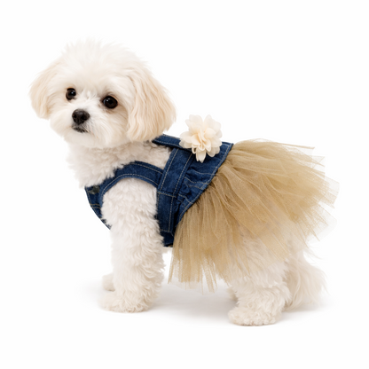 Ρούχο σκύλου φόρεμα Jean TOUTOU