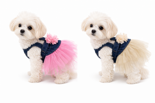 Ρούχο σκύλου φόρεμα Jean TOUTOU