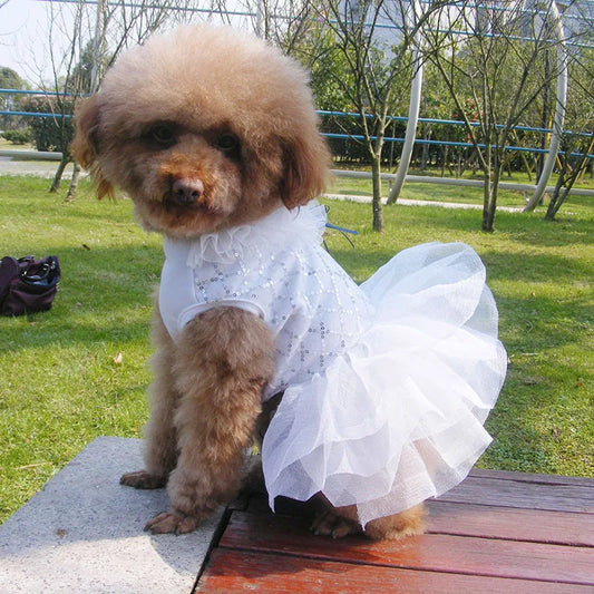 Ρούχο σκύλου φόρεμα LOVELY WHITE