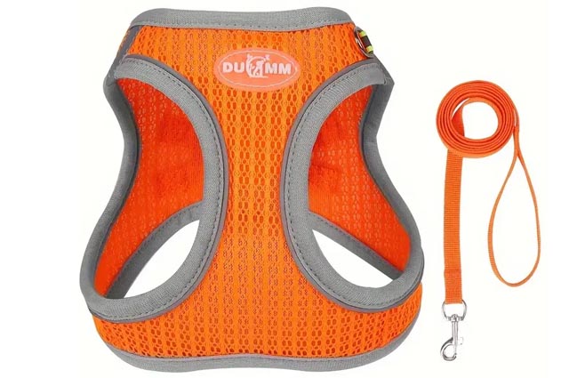 Σετ επιστήθιο-οδηγός σκύλου-γάτας TOTAL ORANGE