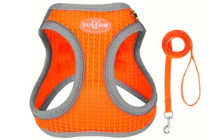 Σετ επιστήθιο-οδηγός σκύλου-γάτας TOTAL ORANGE