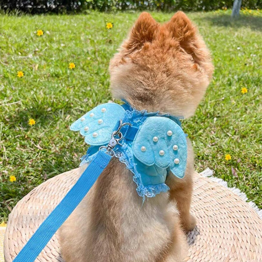 Σετ επιστήθιο-οδηγός σκύλου Angel