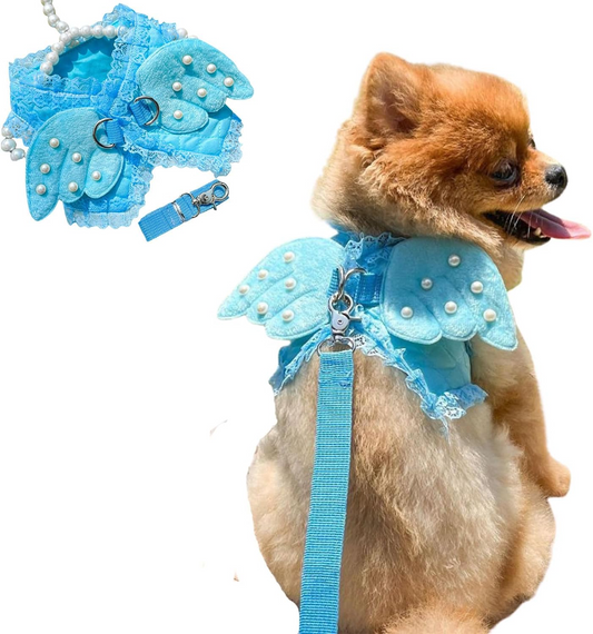 Σετ επιστήθιο-οδηγός σκύλου Angel