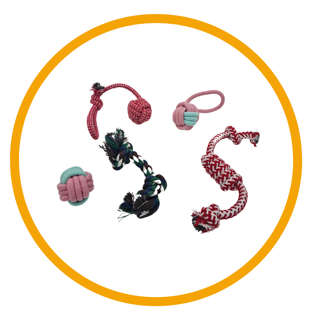 Σετ παιχνίδια σκύλου All About Ropes (5τμχ)