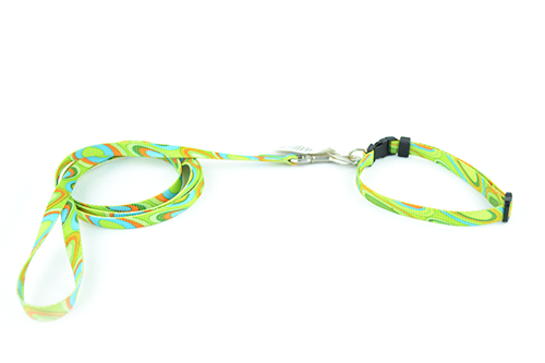 Σετ περιλαίμιο-οδηγός σκύλου με βούλες Petvet