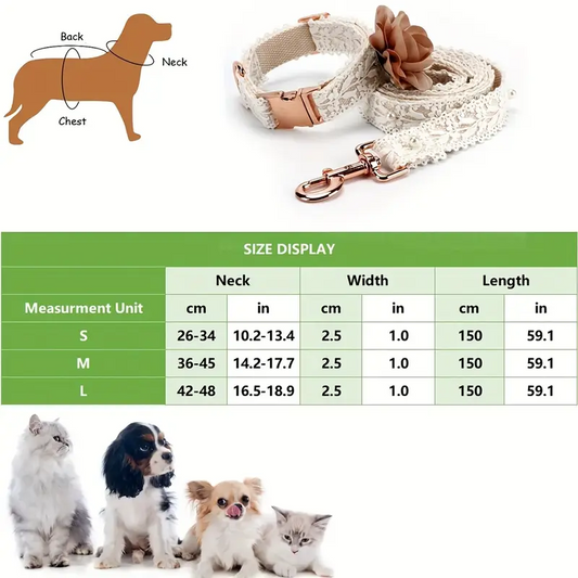 Σετ περιλαίμιο-οδηγός σκύλου Elegant Lace