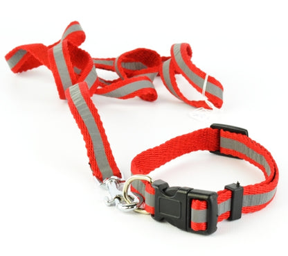 Σετ περιλαίμιο-οδηγός σκύλου με καμπανάκι Light in the dark