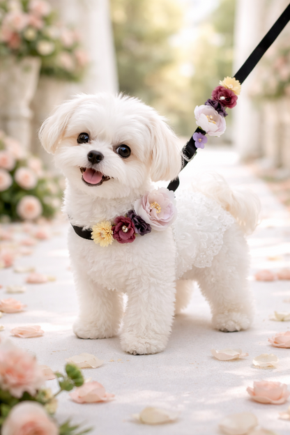 Σετ περιλαίμιο-οδηγός σκύλου ELEGANCE PD