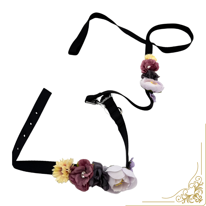 Σετ περιλαίμιο-οδηγός σκύλου ELEGANCE PD