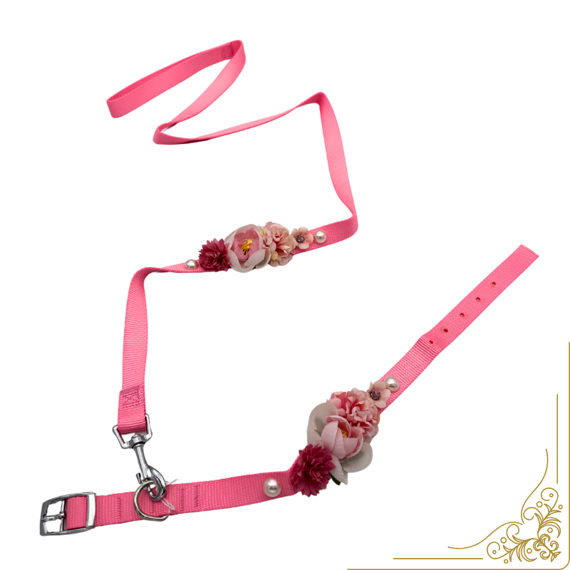 Σετ περιλαίμιο-οδηγός σκύλου ELEGANCE PD