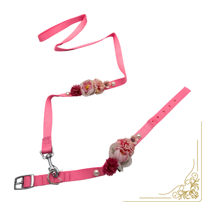 Σετ περιλαίμιο-οδηγός σκύλου ELEGANCE PD