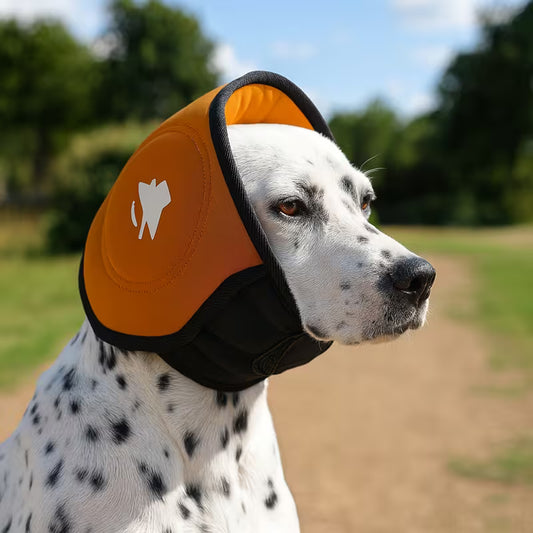 Snood σκύλου Noise Cancel BRICK