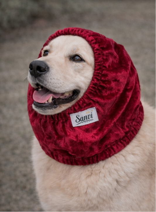 Snood σκύλου RED velvet