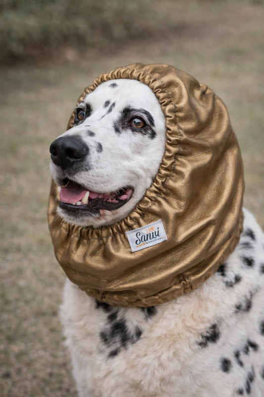Snood σκύλου ΑΔΙΑΒΡΟΧΟ GOLDEN TIME Sanvi