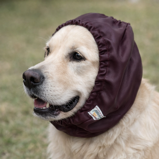 Snood σκύλου ΑΔΙΑΒΡΟΧΟ Μπορντώ Plain