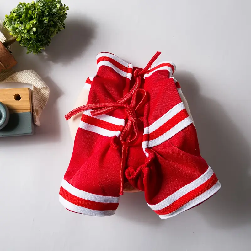 Αποκριάτικη στολή σκύλου Basketball