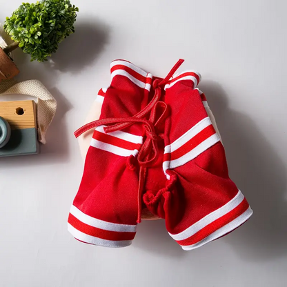 Αποκριάτικη στολή σκύλου Basketball