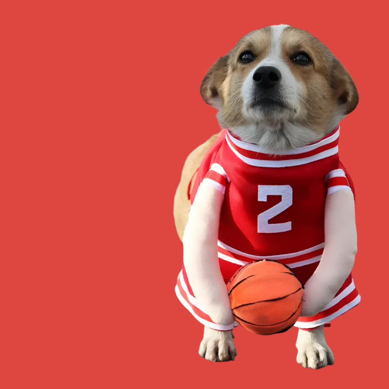 Αποκριάτικη στολή σκύλου Basketball