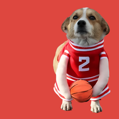 Αποκριάτικη στολή σκύλου Basketball
