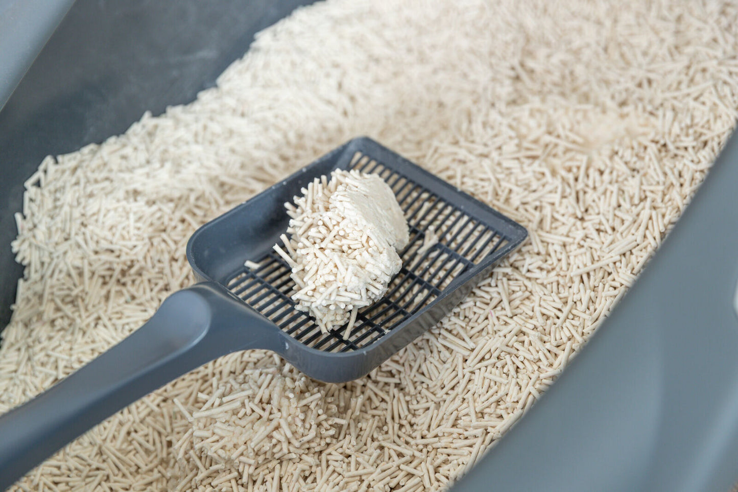 Άμμος Γάτας Trixie Tofu Clumping Litter (2.5kg)