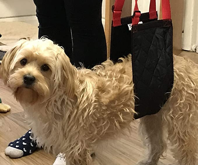 Τσάντα Υποστήριξης σκύλου "Smart Mobility Sling"