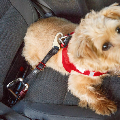 Ζώνη Ασφαλείας αυτοκινήτου σκύλου Curli Secure