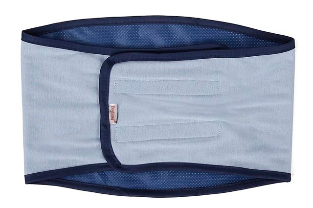 Ζώνη Mαρκαρίσματος για αρσενικούς σκύλους Light Blue