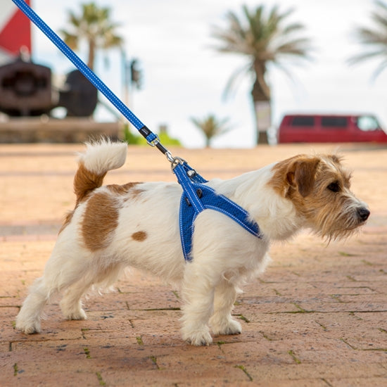 Επιστήθιο-σαμαράκι σκύλου Fast Fit Harness Rogz Blue