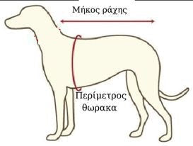 Ρούχο σκύλου EVOLUTION