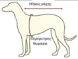 Ρούχο σκύλου GRAY BONE