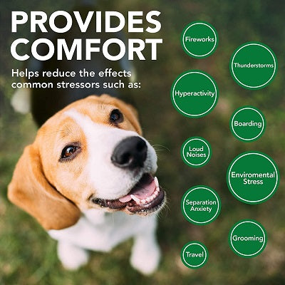 Φυτικά ηρεμιστικά για σκύλους ηρεμίας & antistress Vet's Best Comfort CALM(60caps)