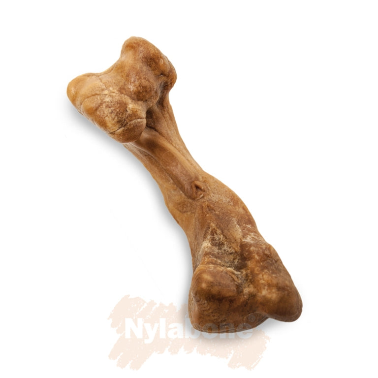 Λιχουδιά δοντιών σκύλου Nylabone Snacks Βίσονας (96gr)