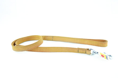 Οδηγός σκύλου Καφέ με Πολύχρωμη ραφή Pet Camelot