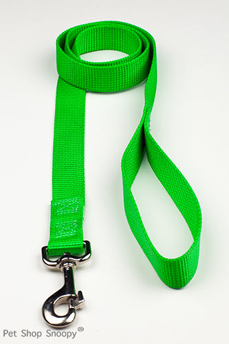 Οδηγός σκύλου Neon Pet Camelot Bold