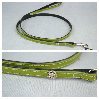 Οδηγός σκύλου PetVet δερματίνη Strass