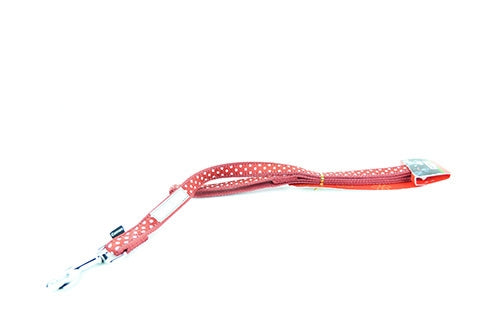 Οδηγός σκύλου Kόκκινος Πουά Camon