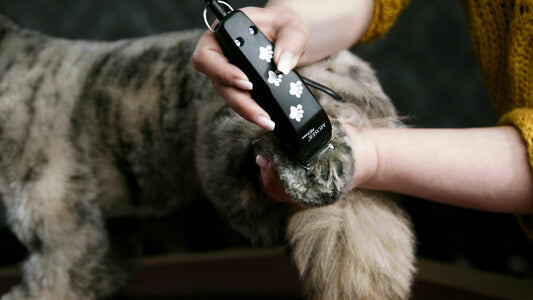 Εύχρηστη Μηχανή Κουρέματος σκύλου-γάτας Moser