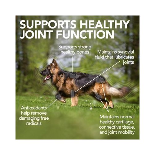 Συμπλήρωμα διατροφής σκύλου για τις αρθρώσεις Vet's Best Advanced Hip & Joint (60caps)