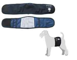 Ζώνη Μαρκαρίσματος αρσενικού σκύλου Μπλε Camon