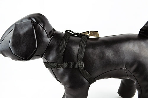 Επιστήθιο σκύλου Mαύρο