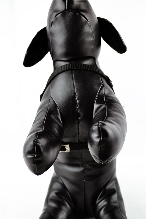 Επιστήθιο σκύλου Mαύρο