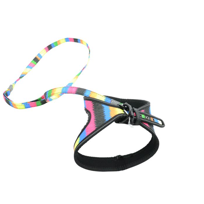 Σετ επιστήθιο-οδηγός Colourful