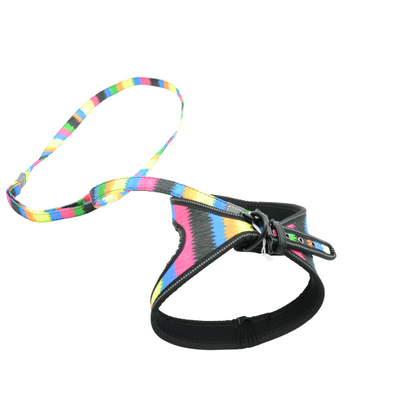 Σετ επιστήθιο-οδηγός Colourful