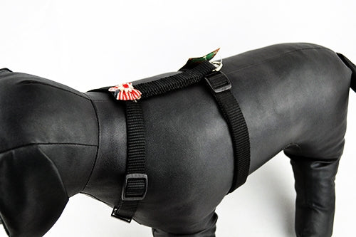 Επιστήθιο σκύλου Mαύρο με φιόγκο