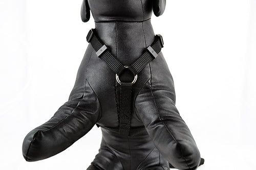 Επιστήθιο σκύλου Mαύρο με φιόγκο