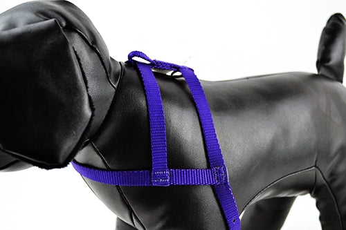 Επιστήθιο σκύλου Μοβ