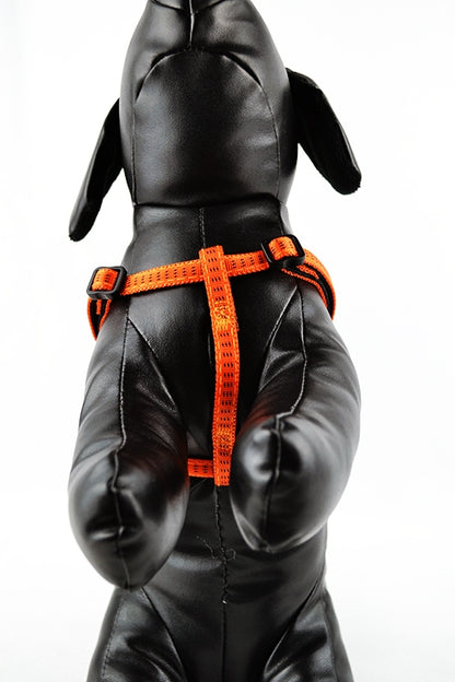 Επιστήθιο σκύλου Πορτοκαλί-Μαύρο Nobby